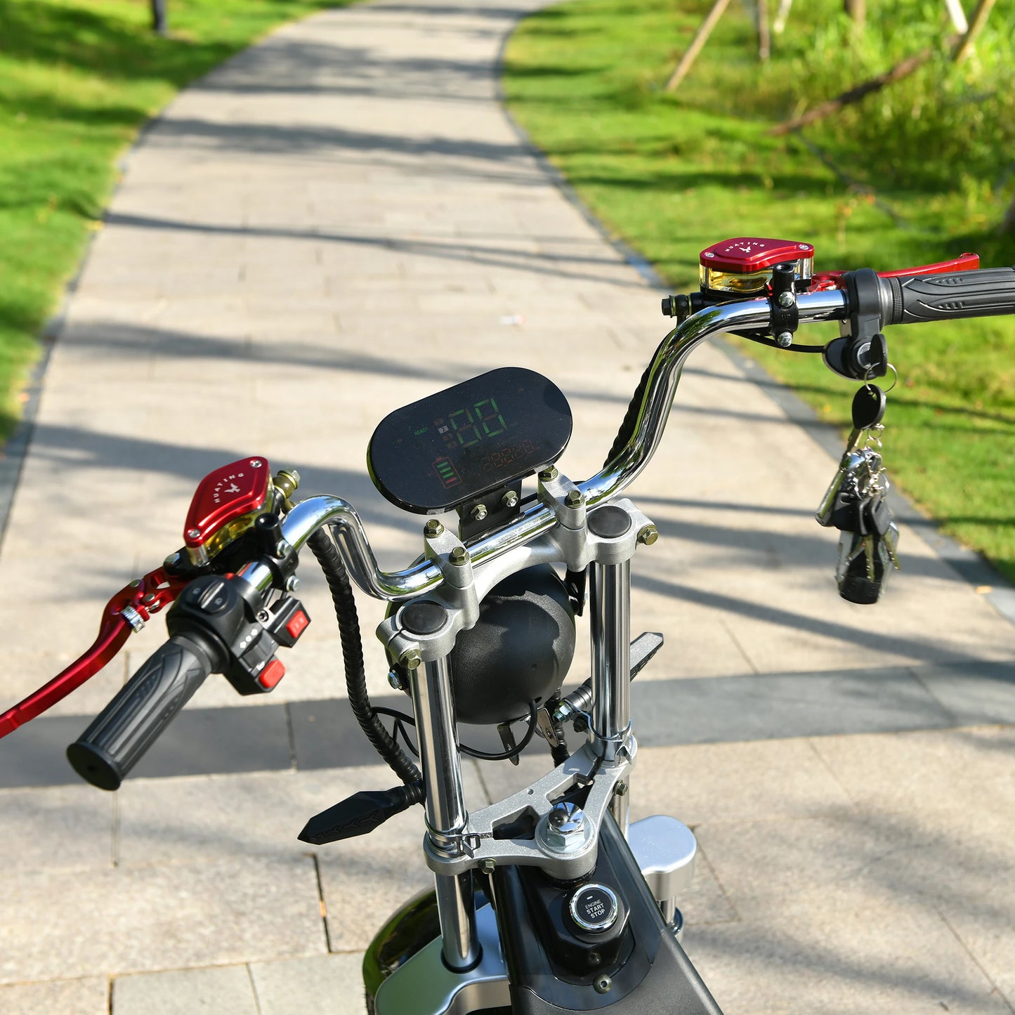 Citycoco Electric Motorcycle 60V25AH Battery Charging