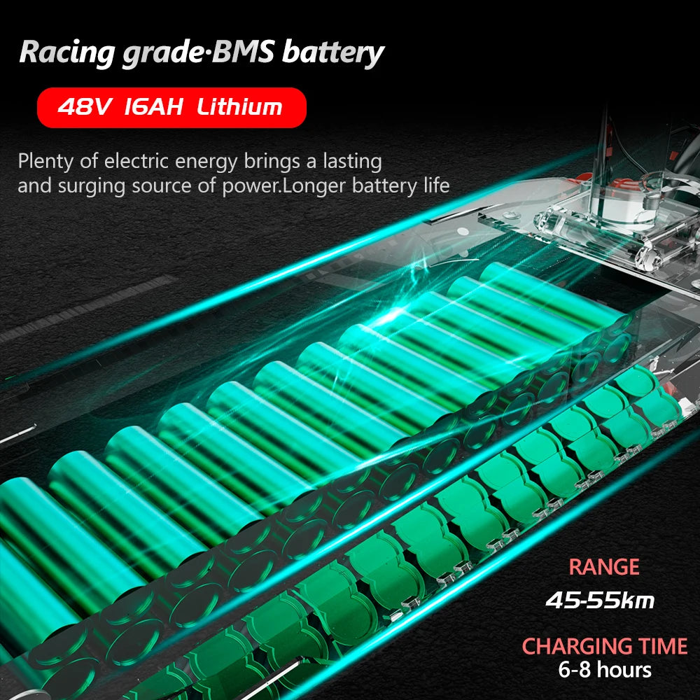 Foldable 800W 48V 10INCH Electric Scooter for Adult, Portable Scooter , European and UK Warehouse