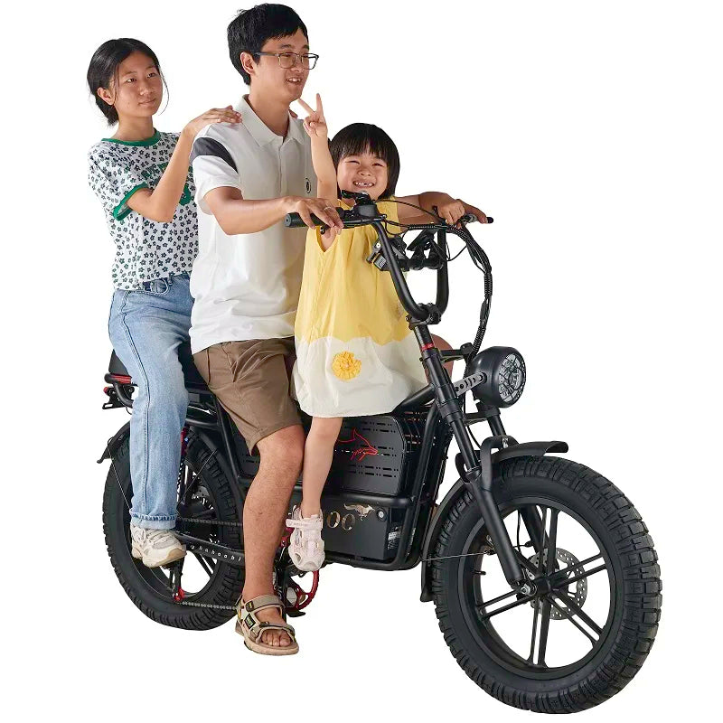 HAHOO H20 20 inches adult electric