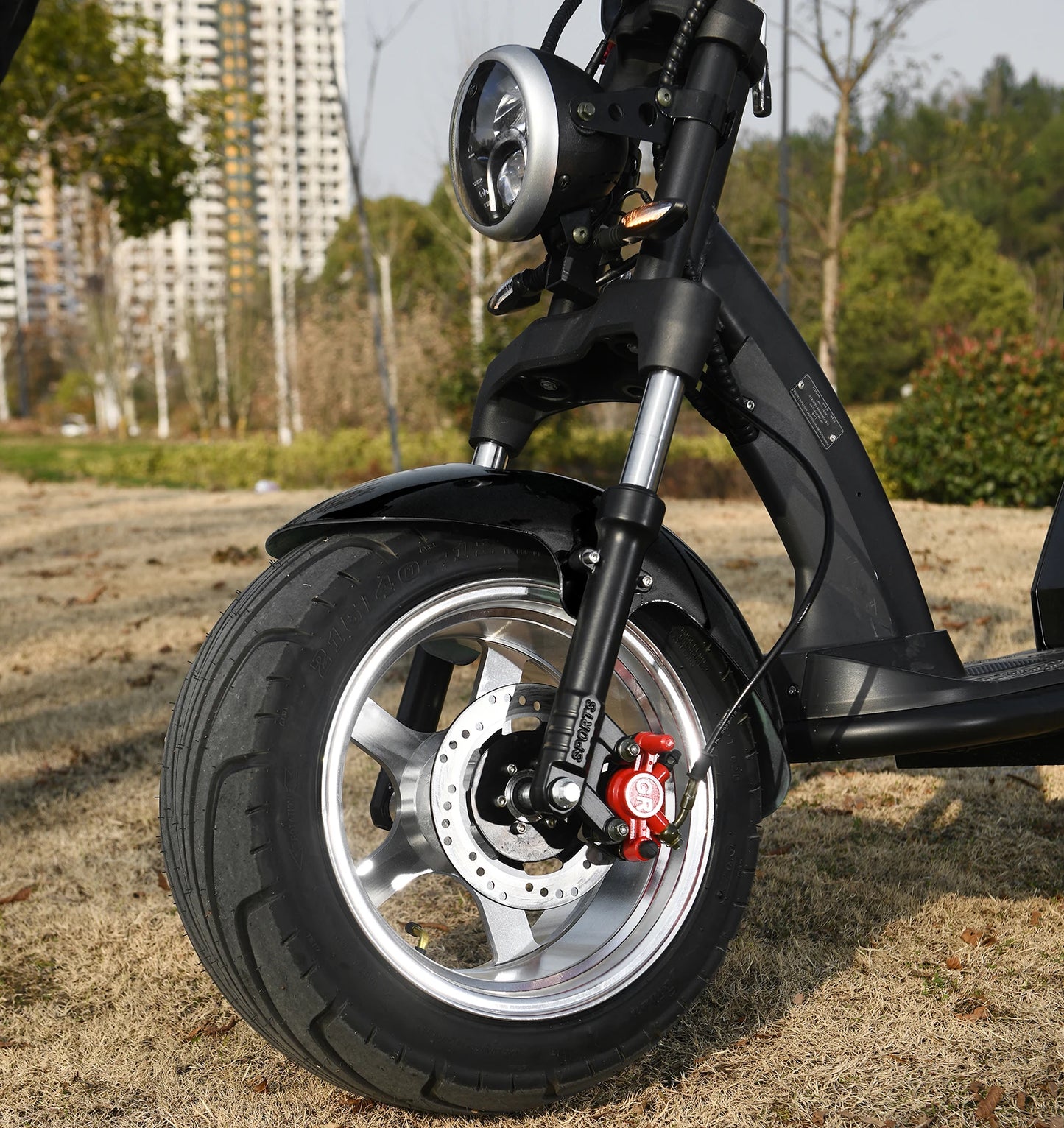 Adult Electric Motorcycle  2 Wheel E Scooter