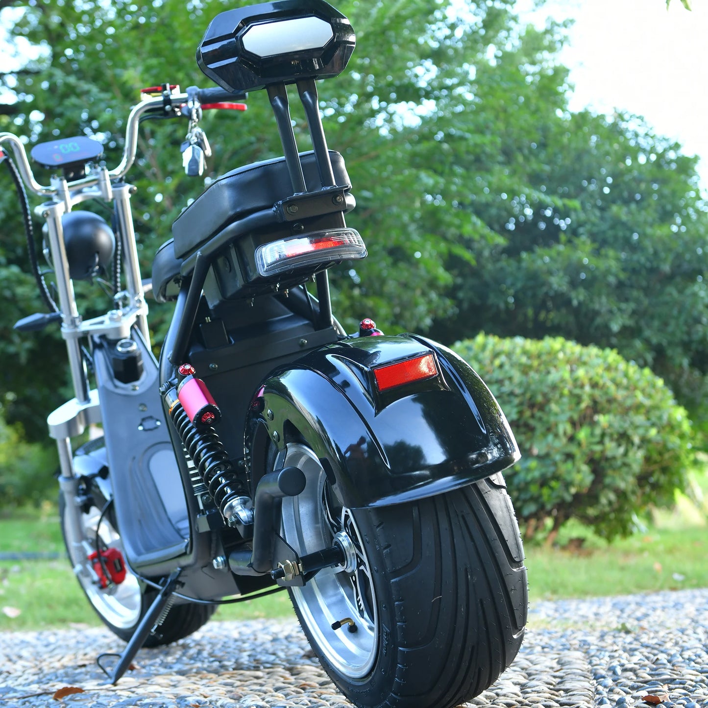 Citycoco Electric Motorcycle 60V25AH Battery Charging