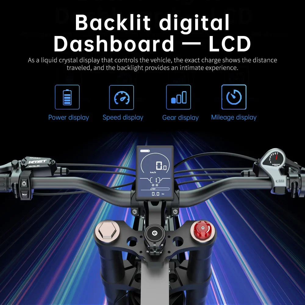 Electric bike X21MAX,