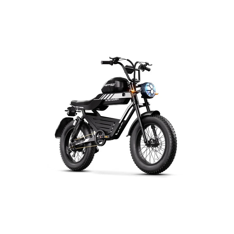HAPPYRUN G100 Fat Tire Electric Bikes 2000W Peak Motor 18Ah+20Ah Dual Batteries