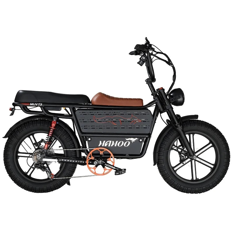 HAHOO H20 20 inches adult electric