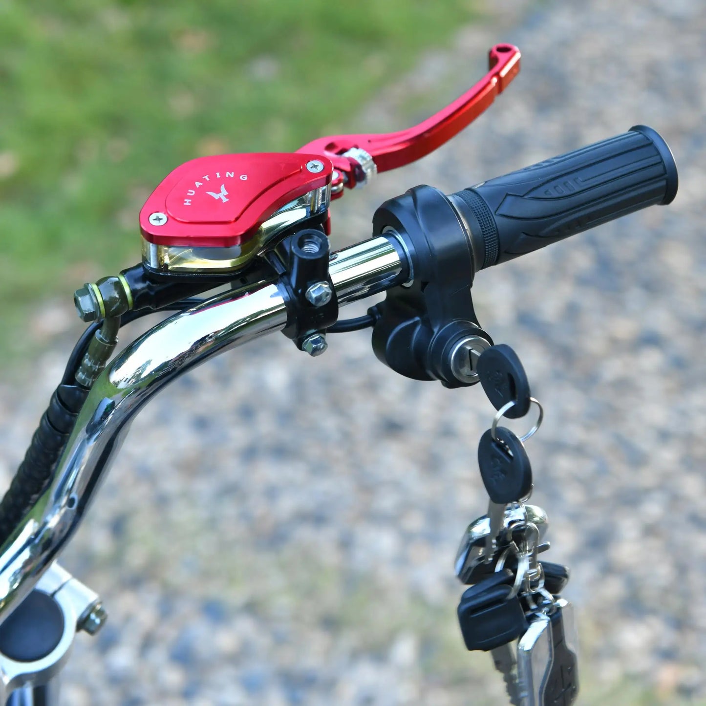 Citycoco Electric Motorcycle 60V25AH Battery Charging