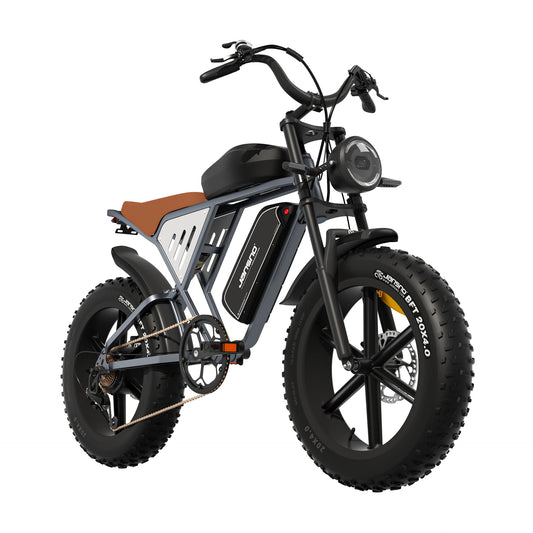 Jansno X70G Adult electric bike 750W City ebike removable dual Battery: 48v14Ah+48v20Ah 20 inches fat tire E-Mountain bike